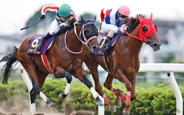 【浦和・さきたま杯結果】8歳牝馬サルサディオーネが逃げ切り大接戦を制す