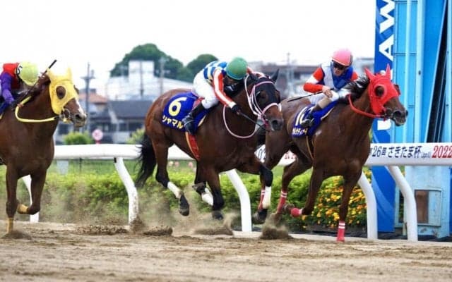 【さきたま杯】サルサディオーネが交流重賞5勝目！ゴール前は3頭激戦