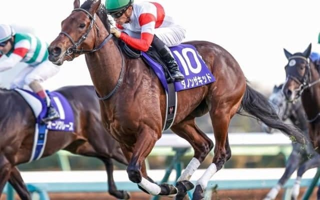 【安田記念予想】AIの指名馬に不安無し  春のマイル王決定戦で“ぜひとも買いたい実績馬”とは？