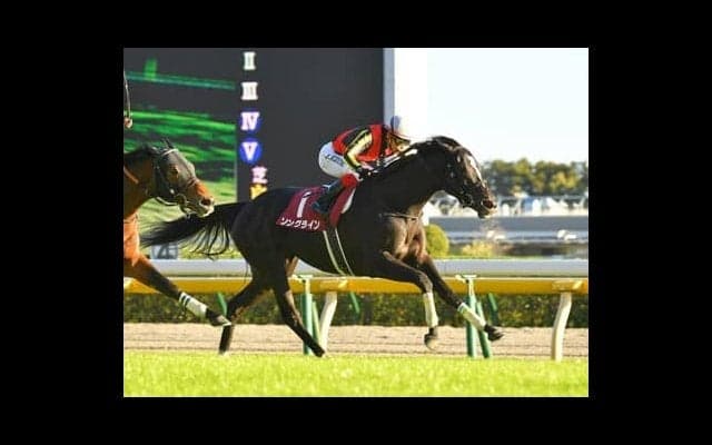 安田記念に強い「ストームキャットの血」。狙いは充実期を迎えている２頭の牝馬