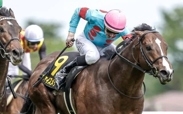 昨年のラジオNIKKEI賞覇者ヴァイスメテオールが調教中の故障で安楽死　ダービー2着馬イクイノックスの半兄