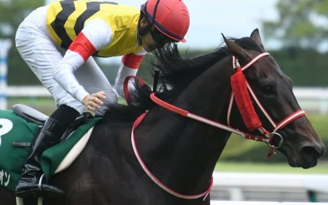 【次走】ユニコーンライオンがプロキオンSで復帰　昨年の宝塚記念2着以来1年ぶり