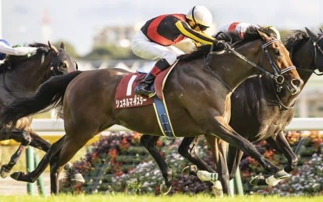 【安田記念枠順確定】シュネルマイスターは5枠9番、イルーシヴパンサーは4枠8番