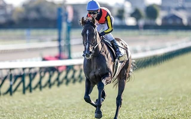 【次走】NHKマイルC5着のインダストリアはユニコーンSへ 今年のジュニアC勝ち馬