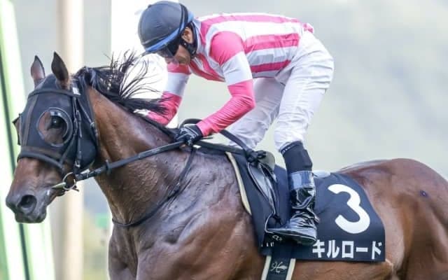 【函館スプリントS想定】昨年覇者ビアンフェは藤岡佑介騎手、高松宮記念3着キルロードは菊沢一樹騎手