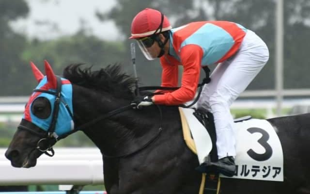 【エプソムC想定】連勝中ジャスティンカフェは横山典弘騎手、2年ぶりの復帰戦コルテジアは三浦皇成騎手