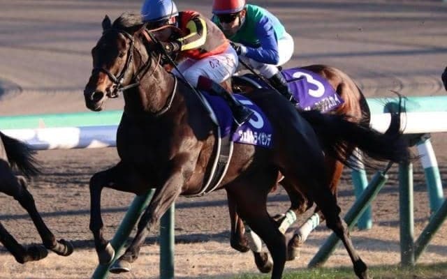 【今日の注目ポイント】鳴尾記念でヴェルトライゼンデ復帰、2歳新馬戦スタートなど
