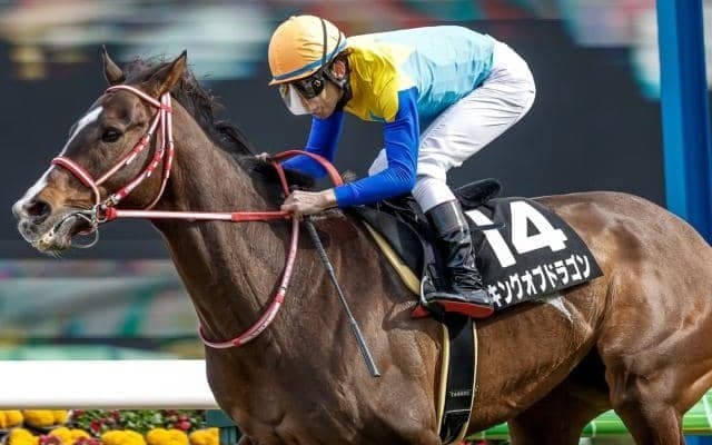 【鳴尾記念予想】宝塚記念やサマーシリーズを見据えた戦い