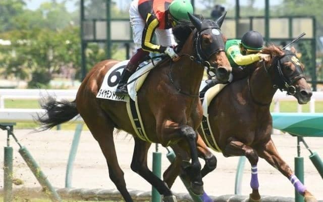 【中京5R新馬戦結果】新種牡馬サトノダイヤモンド産駒ダイヤモンドハンズが世代の一番星