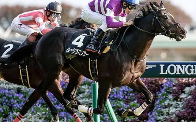 【AI予想・安田記念】成長見込める驚異の末脚！ 混戦を切り裂く乾坤一擲の騎乗に期待!!