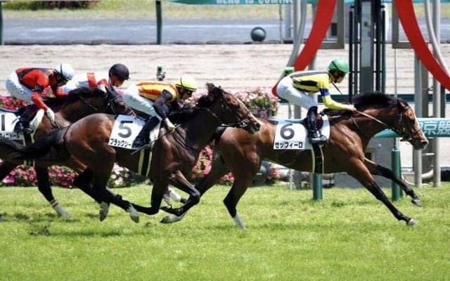 【中京7R】ディープ産駒 ゼッフィーロが2勝目
