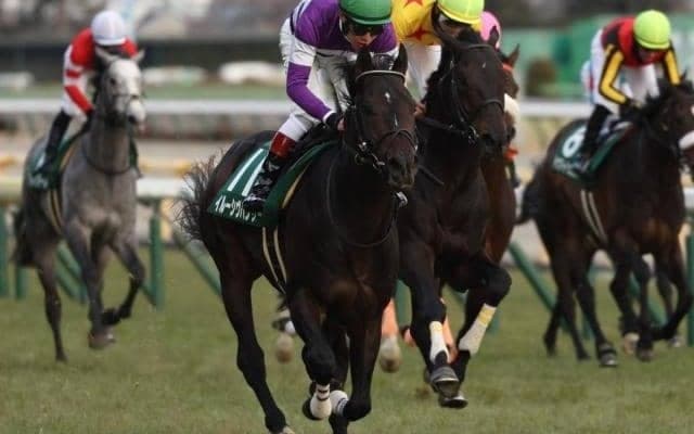 【安田記念予想】伝統の春マイル王者決定戦、東京巧者の上がり馬に期待