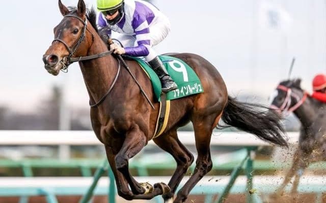 【安田記念予想】馬券圏内80％の1番人気馬逆襲へ？「勝てない枠」と「2着馬の特徴」とは？