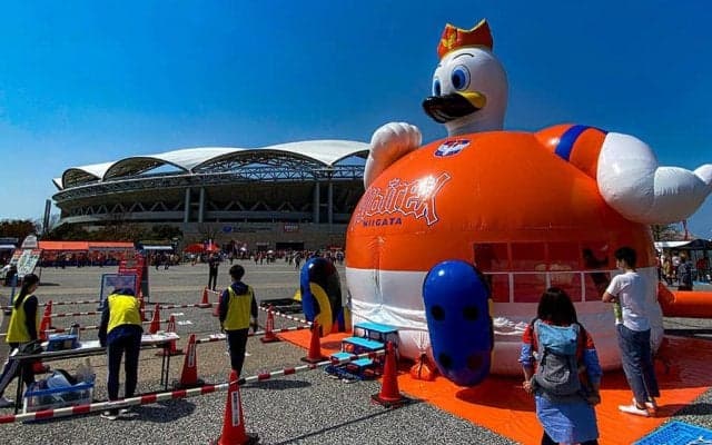 「サッカー不毛の地」新潟を変えた日韓W杯　転勤族の1人が奔走、勝手連とアルビの物語