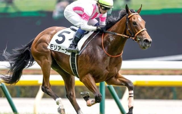 【東京5R新馬戦結果】エピファネイア産駒モリアーナが追い比べから抜け出す