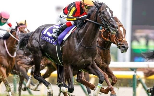 【安田記念】ソングラインが追い比べを制す！VM5着から巻き返しGI初制覇！