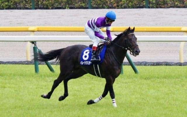 【安田記念】1番人気が敗れ、G1連敗継続…こちらの呪いは継続