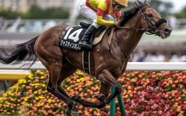 【エプソムC見どころ】上がり馬ジャスティンカフェの3連勝なるか