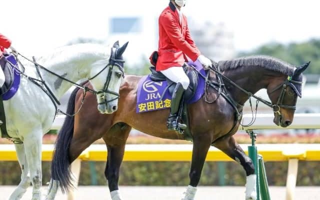 GI馬ペルシアンナイトが東京競馬場で誘導馬デビュー