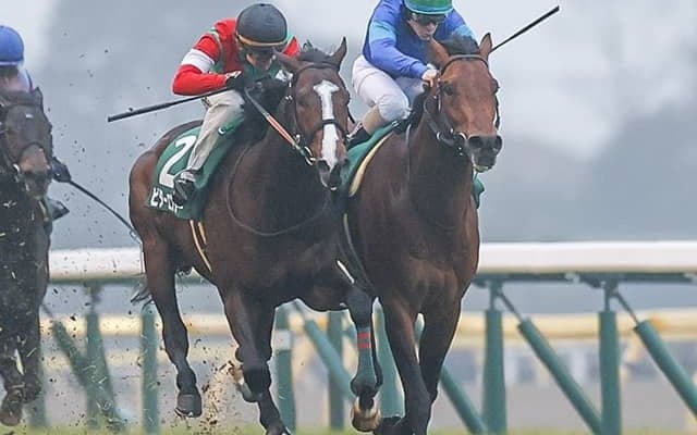 【AI予想・エプソムC】惜敗続きにピリオド!? 条件揃った「あの馬」に待望のチャンス到来