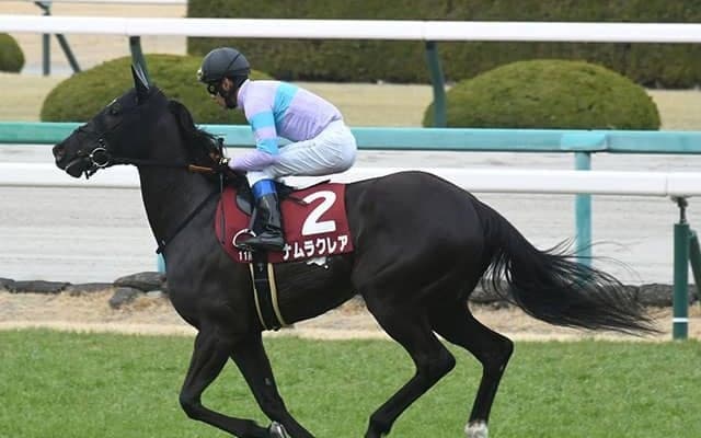 【函館スプリントS想定騎手】ナムラクレアは浜中俊騎手、ビアンフェは藤岡佑介騎手