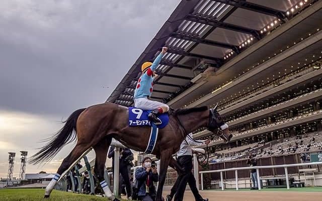 【JRA】2022年顕彰馬投票、今年も選定馬なし　対象馬にアーモンドアイ、キングカメハメハ、ブエナビスタなど