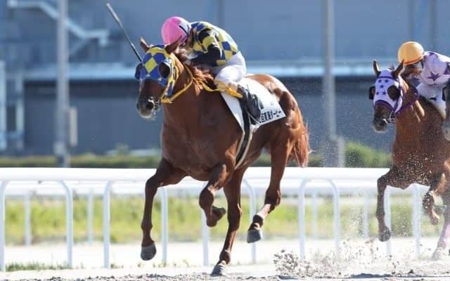 【名古屋・東海ダービー結果】タニノタビトが人気に応え重賞連勝