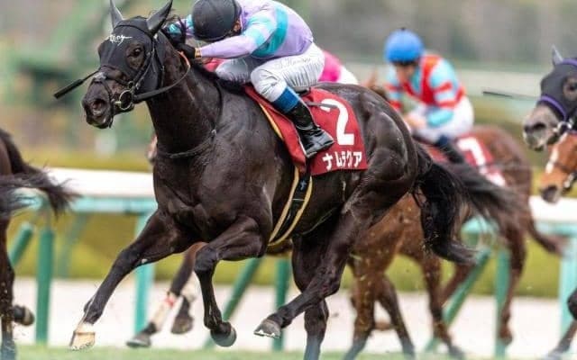 【函館スプリントS予想オッズ】ナムラクレアが予想1番人気