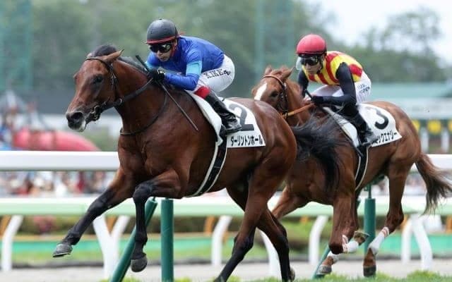 【エプソムC予想】買い目から削るのは怖い!? AIが有力視している馬とは？