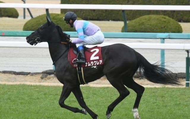 【函館スプリントS出走馬・騎手確定】ナムラクレア＆浜中俊騎手、ビアンフェ＆藤岡佑介騎手など16頭