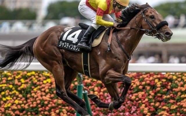 【エプソムC出走馬・騎手確定】ジャスティンカフェ＆横山典弘騎手、ダーリントンホール＆ルメール騎手など12頭