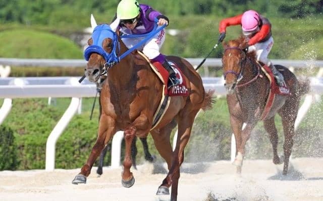 【園田・兵庫ダービー結果】バウチェイサーが4馬身差突き抜けダービー戴冠