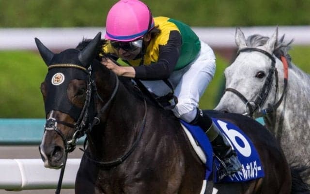 宝塚記念ファン投票 最終結果発表！