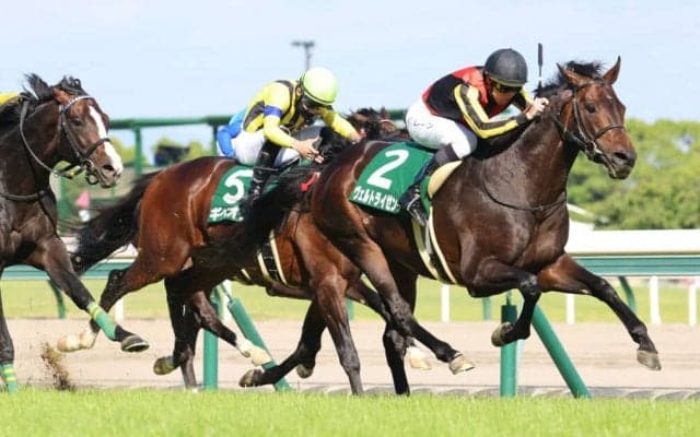 【鳴尾記念】1年5ヶ月ぶり長期休養明け ヴェルトライゼンデが復活V