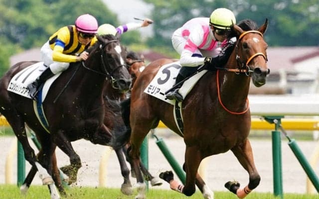 【新馬/東京5R】エピファネイア産駒 モリアーナがデビューV