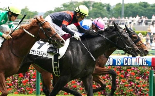 【新馬/東京6R】サトノクラウン産駒 クラックオブドーンがデビューV