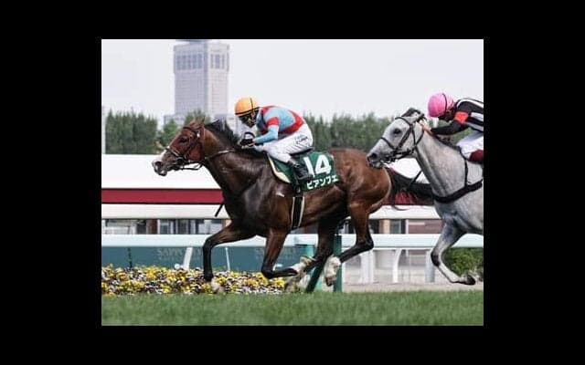 函館スプリントＳはコースと縁深い「超スピード馬」が逃げきるか。名スプリンターの産駒も連対の可能性大