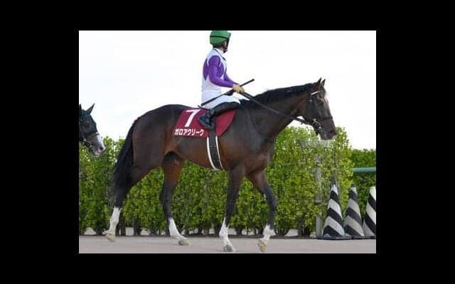 超高額配当も!?　エプソムＣは過去の激走３パターンに合致する伏兵３頭を狙うべし