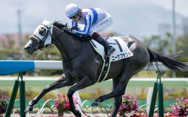 【函館5R新馬戦結果】ニーナブランドが逃げ切り勝ち