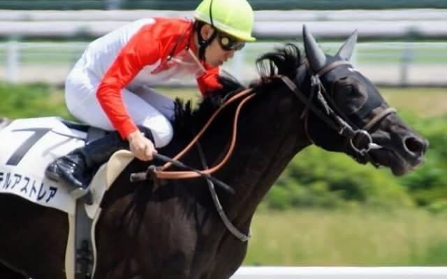 【次走】アーテルアストレアはレパードSへ　伯父はJBCクラシック3着馬センチュリオン