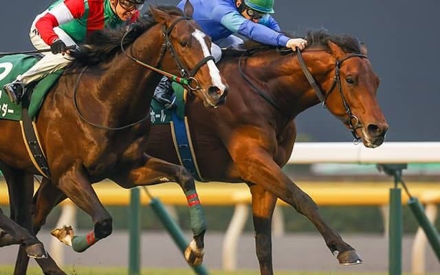 【AI予想・エプソムC】クラシック好走も本質はマイラー!? 負けて強しの内容が「真の強さ」を物語る