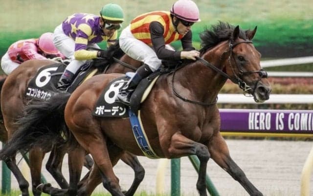 【芦ノ湖特別】断然人気ボーデンが差し切る