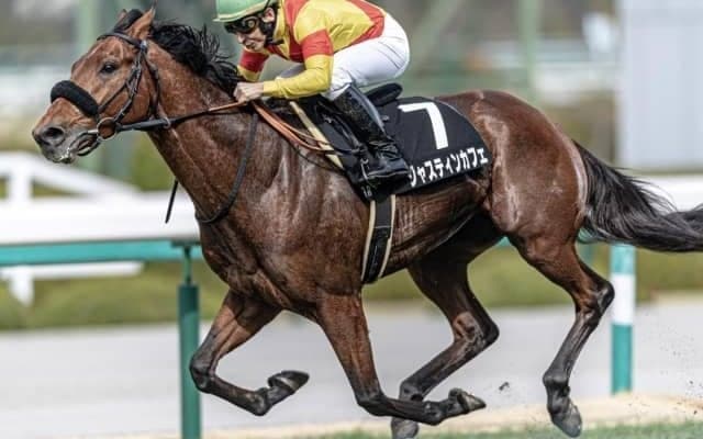 【今日の注目ポイント】東京でエプソムC、函館では函館スプリントS