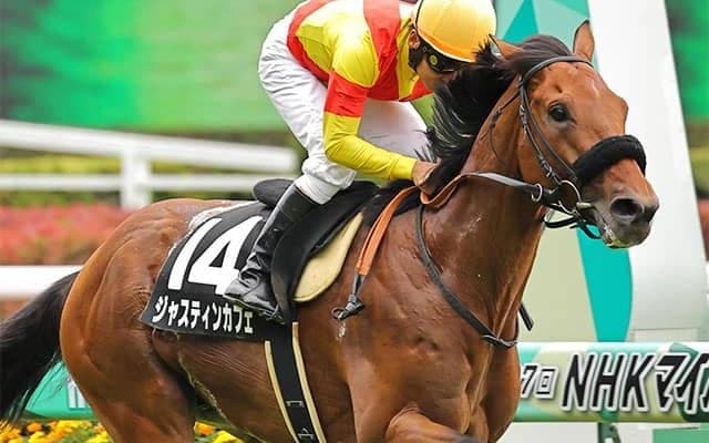 【エプソムC・馬体重】ジャスティンカフェは490kg(0)、ダーリントンホールは536kg(-8)