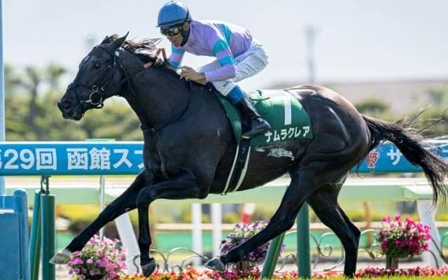 【函館スプリントS結果】3歳牝馬ナムラクレアが一気の抜け出しで人気に応える