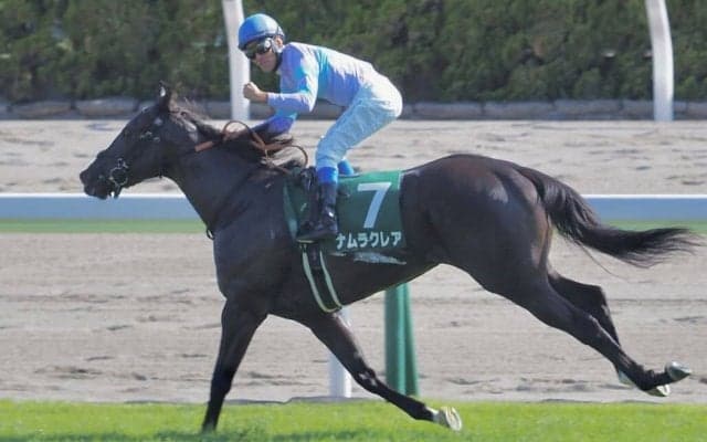 【函館スプリントS】3歳 ナムラクレアが古馬撃破