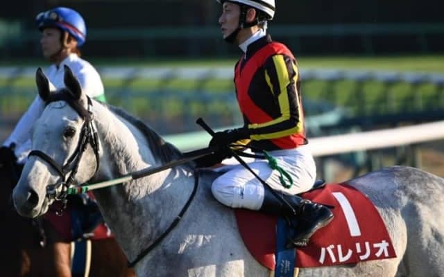 バレリオが右第1指関節脱臼のため予後不良に　ステイヤーズSなど中長距離重賞に出走