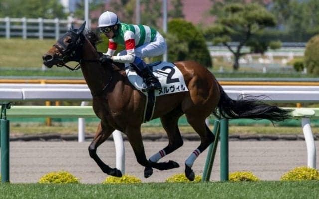 【函館1R】武豊 メルヴィルが人気に応える