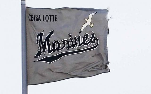 ロッテに「TEAMMATES」事業で小学5年生が入団　プロ野球では初の事業実施