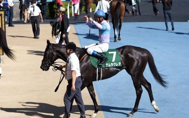【函館スプリントS】浜中「手応え通り」ナムラクレアが完勝